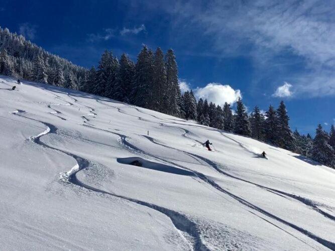 Flat Daniela, Im Zillertal Hippach