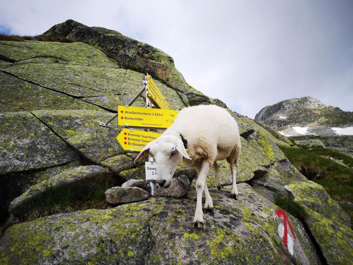 Flat Daniela, Im Zillertal *